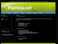 Pšenica.net - Pc servis, webdesign a propagace
