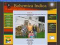 Bohemica Indica – mantry, reggae, ska kapelka z Dolních Chrášťan.