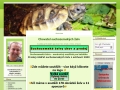 Suchozemské želvy chov a prodej