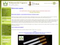 Elektronická cigareta, e-cigareta Garant