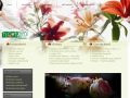 Flowerbed - svatební kytice, květinářství, profesionální floristika