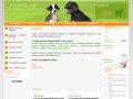 Chlupaci.net - krmivo doplňky a hračky pro psy