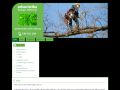 arboristika - péče o stromy