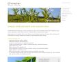 Chmellar s.r.o. Biomass & Bioenergy