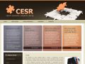 CESR - Czech economic subjects rating