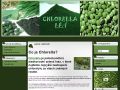 Chlorella - léčivá sladkovodní zelená řasa