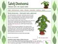 Šalvěj-divotvorná.info - vše o pěstování, prodej rostlin